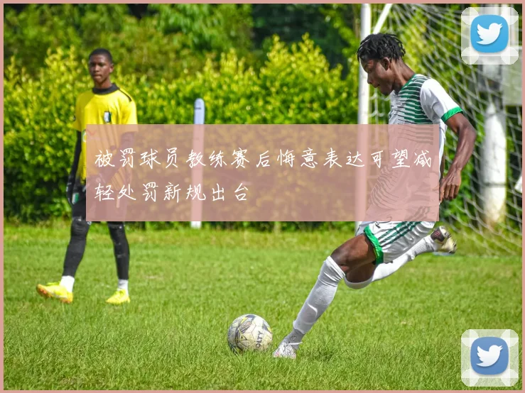 被罚球员教练赛后悔意表达可望减轻处罚新规出台