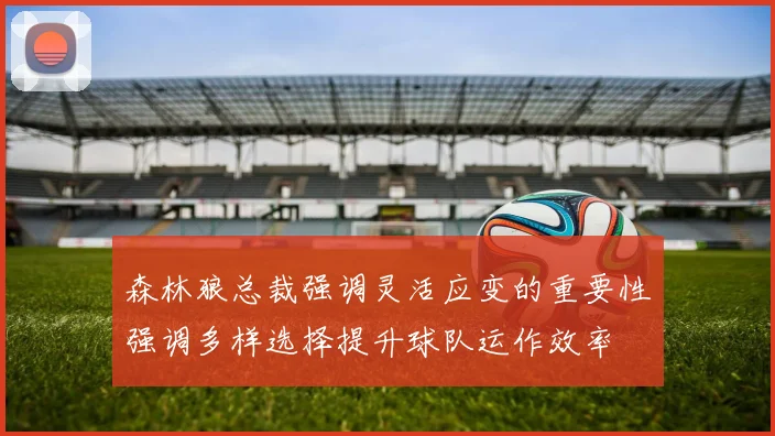 森林狼总裁强调灵活应变的重要性强调多样选择提升球队运作效率
