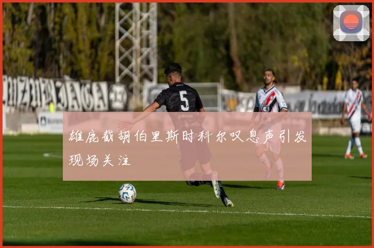 雄鹿截胡伯里斯时科尔叹息声引发现场关注